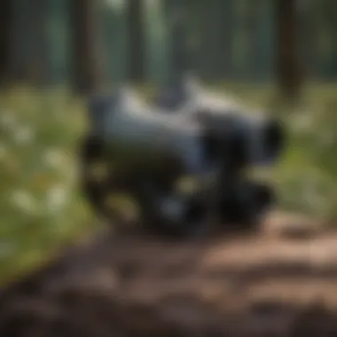 A close-up of binoculars focused on a distant bird.