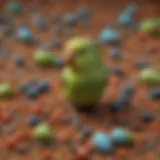Colorful assortment of parrotlet food including seeds and pellets