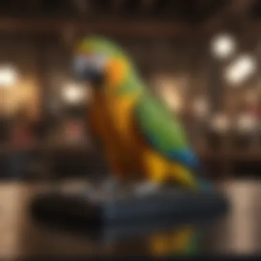 Essential Accessories for Parrot Ownership Parrot care essentials and accessories