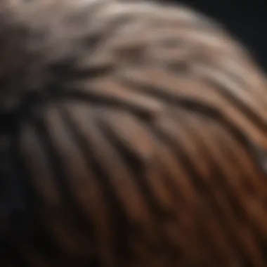 A close-up of a bird's feathers being expertly preened to maintain health.