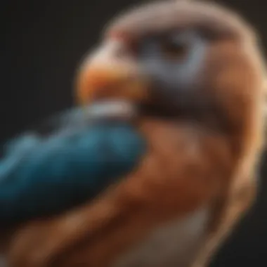 Avian Anatomy: Key Touch Points for Interaction An infographic detailing bird anatomy, focusing on areas sensitive to touch and interaction.