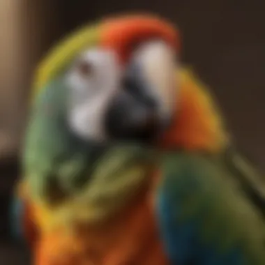 Understanding Touch: The Parrot's Response A close-up of a colorful parrot being stroked gently on its back, showcasing its feathers and body language.