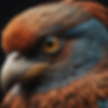 A close-up of a bird's eye showcasing its vibrant plumage and intricate details