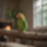 Colorful parakeet perched on a branch in a cozy living room