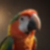 A vibrant parrot enjoying a refreshing bath mist