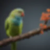 A vibrant parakeet perched on a branch, showcasing its whistling posture