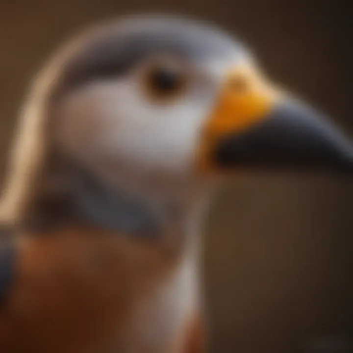 Bird perched calmly while receiving beak trimming care