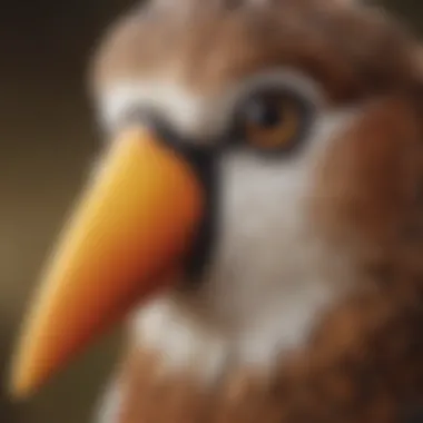 Close-up of a bird's beak using a trimming toy