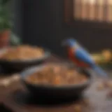 Variety of bird food bowls showcasing different materials