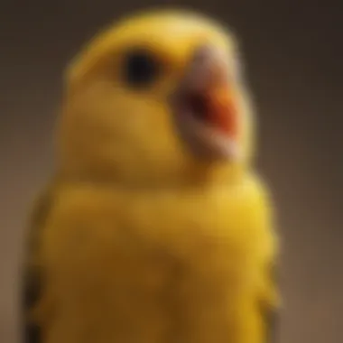 A close-up of a canary with its beak open, producing sound