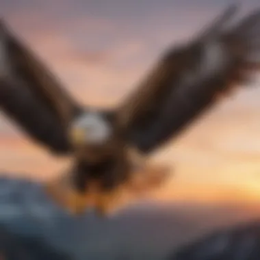 Eagle in Flight A majestic eagle soaring in the sky, showcasing its wingspan and sharp vision