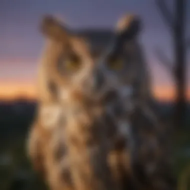Owl at Dusk An owl in twilight, embodying mystery and grace, with large, reflective eyes