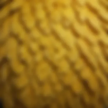 A close-up of a canary's intricate feather patterns, highlighting its unique coloration and textures.