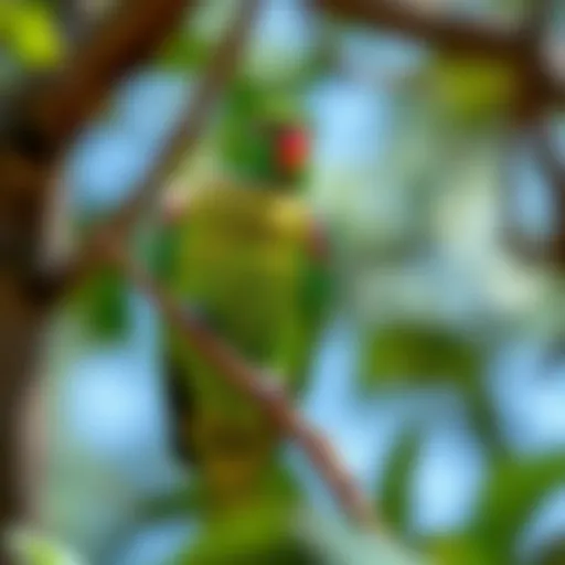 Green-Cheeked Conure in its Natural Habitat A vibrant green-cheeked conure perched on a branch