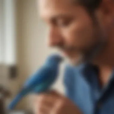 An owner interacting with a little blue pet bird, highlighting the bond and companionship developed through care and training.