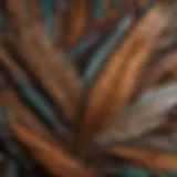 Close-up of bird feathers highlighting potential allergens