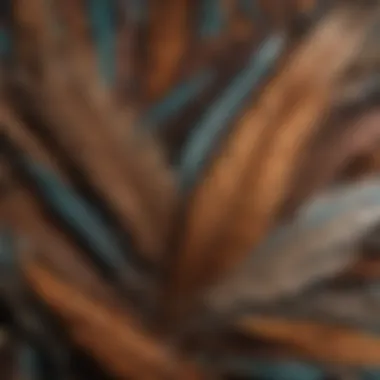 Potential Allergens Found in Bird Feathers Close-up of bird feathers highlighting potential allergens