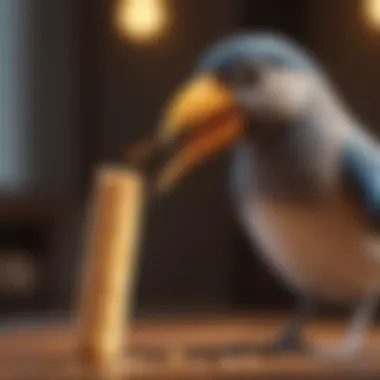 Pet bird enjoying a treat stick