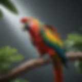 A vibrant parrot perched on a branch