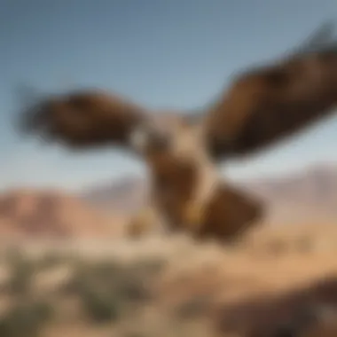 A falcon in flight, demonstrating its incredible wingspan and agility