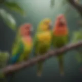 Colorful parakeets perched on a branch