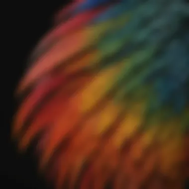 The Beauty of Healthy Parrot Feathers A vibrant parrot displaying its colorful feathers, showcasing the beauty of healthy plumage.