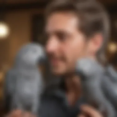 Interaction with Gray Parrot A cheerful gray parrot interacting with its owner, symbolizing the bond and commitment required.