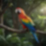 A vibrant macaw perched elegantly on a tree branch