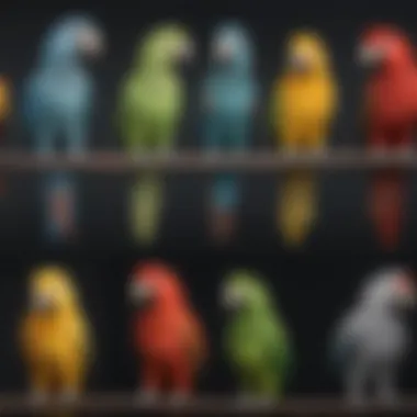 An infographic illustrating the various parrot species and their price ranges.