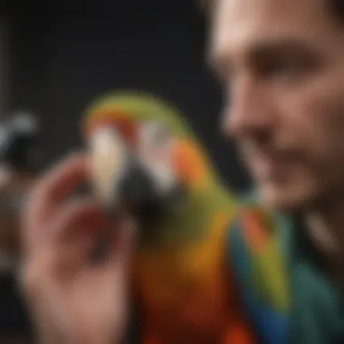 Veterinary Care: A Key Cost in Parrot Ownership A veterinarian examining a parrot in a clinical setting