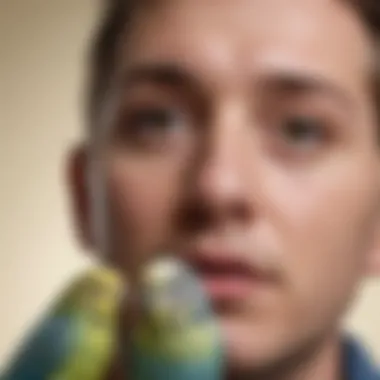 A close-up of a small budgie sitting playfully on a person's head, highlighting playful interaction.