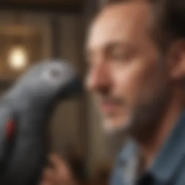 An African Grey parrot interacting playfully with its owner.