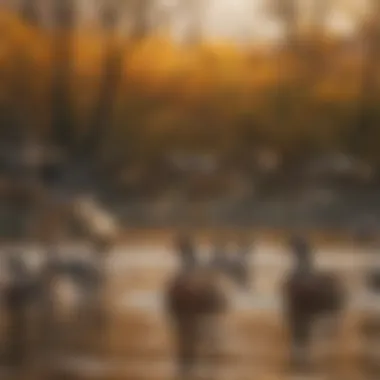 Migratory Ducks of the Mississippi Flyway Variety of duck species migrating along the Mississippi Flyway during fall.