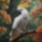 A vibrant cockatoo perched gracefully on a branch, showcasing its stunning plumage.