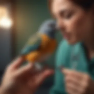 A veterinary professional examining a pet bird with a stethoscope.