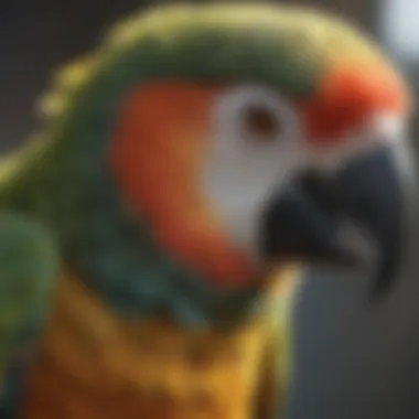 Parrot Neck Strokes A parrot enjoying gentle neck strokes