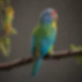 A vibrant parakeet perched on a branch, showcasing its colorful feathers.