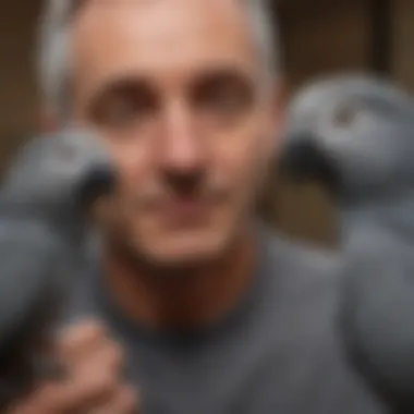 A reputable breeder interacting with African Grey parrots