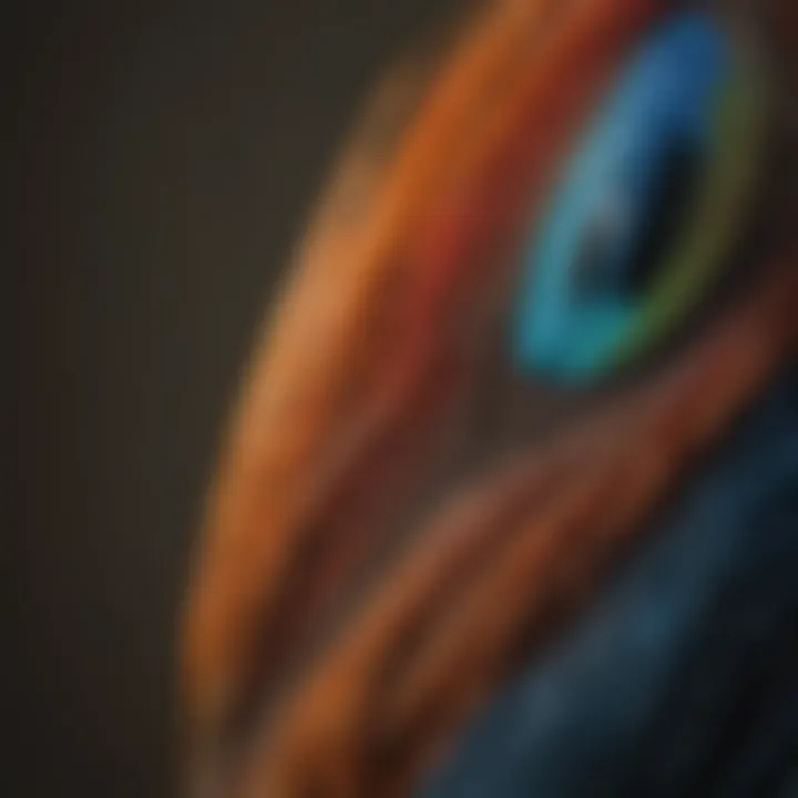 A close-up of a bird's intricate feathers highlighting their unique biology